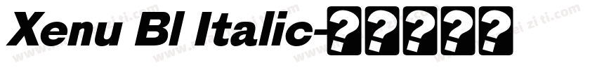 Xenu Bl Italic字体转换